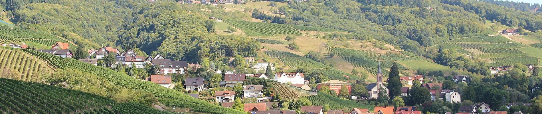 Tour Zu Fuß Sasbachwalden - Schnapsbrunnenweg 1 - Photo