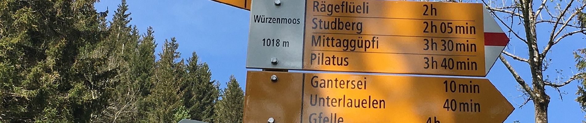 Tour Zu Fuß Schwarzenberg - Sonnhalde - Linden - Meiestoss - Moos - Photo