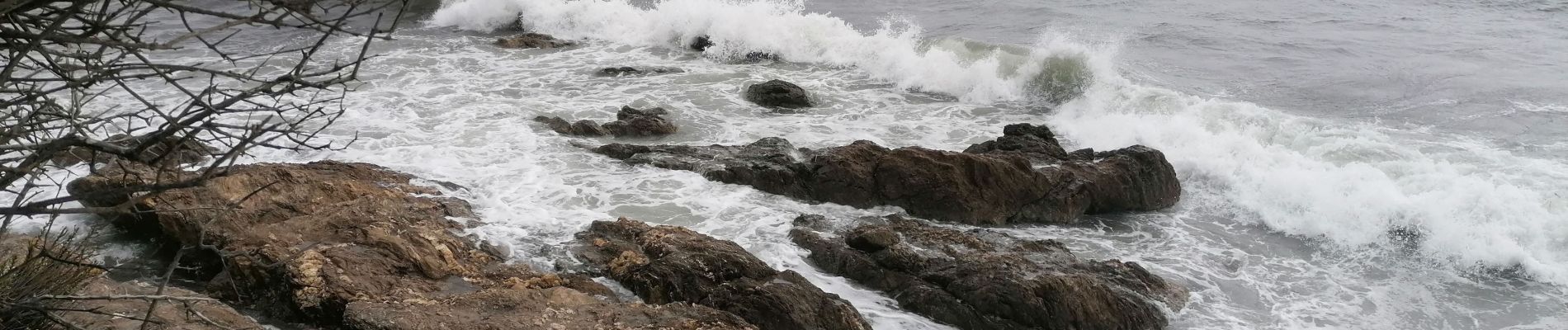 Randonnée Marche Hyères - Presqu'île de Giens - Photo