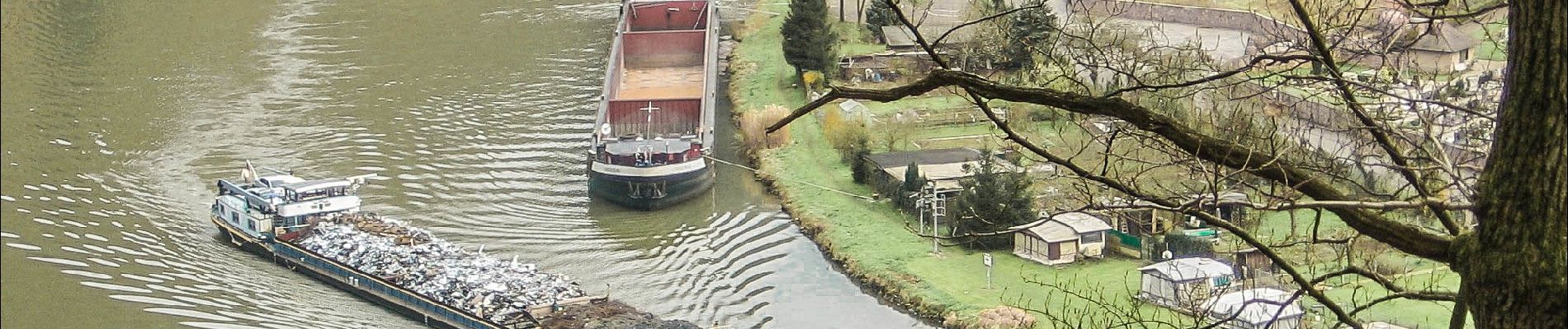 Tocht Te voet Hirschhorn - Rundwanderweg Rothenberg 5: Odenwald-Neckar-Runde - Photo