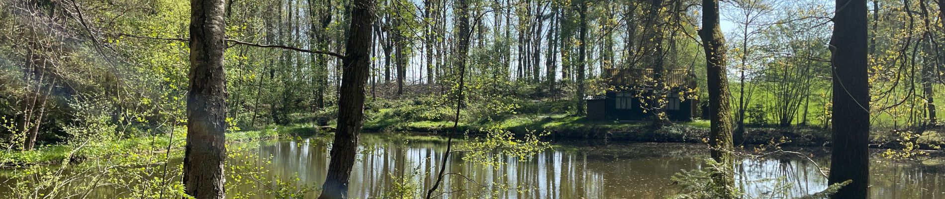 Trail Walking Anderlues - BE-Anderlues - Le Bois du Baron - Tour des Etangs - Photo