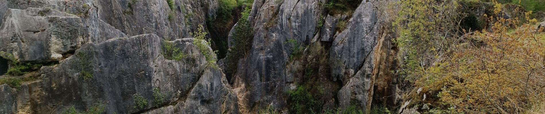 Tocht Stappen Viroinval - Nismes le fondry des chiens  - Photo