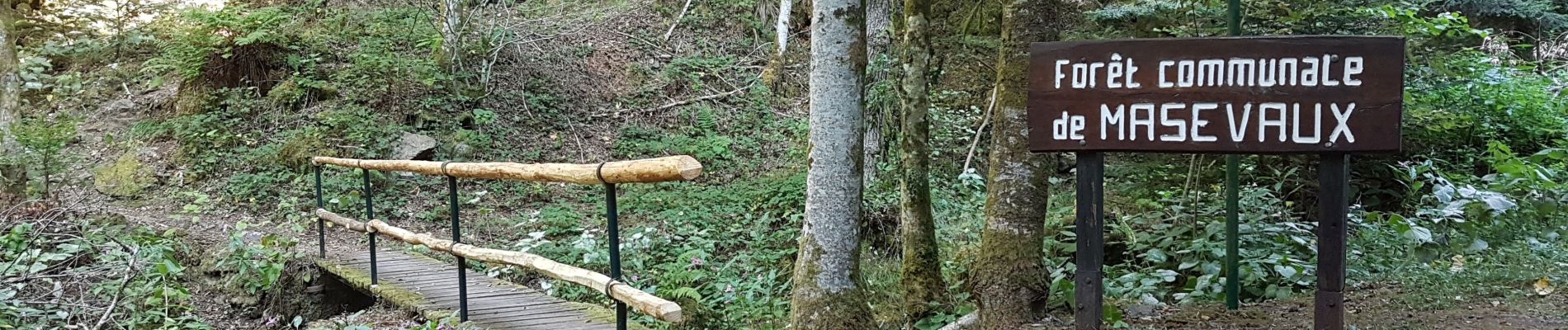 Randonnée Marche Masevaux-Niederbruck - Masevaux - Rossberg par le belvédère du Fuchsfelsen - Photo