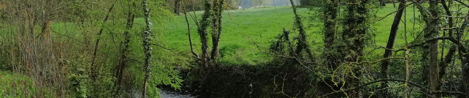 Trail On foot Jodoigne - #230424 - Dongelberg, Souveraine et Tienne Strichaux - Photo