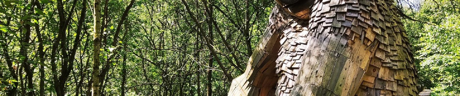 Excursión Senderismo Boom - Les sept trolls et la forêt magique  - Photo