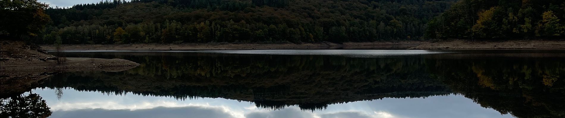 Percorso Marcia Jalhay - Lac de la Gileppe  - Photo