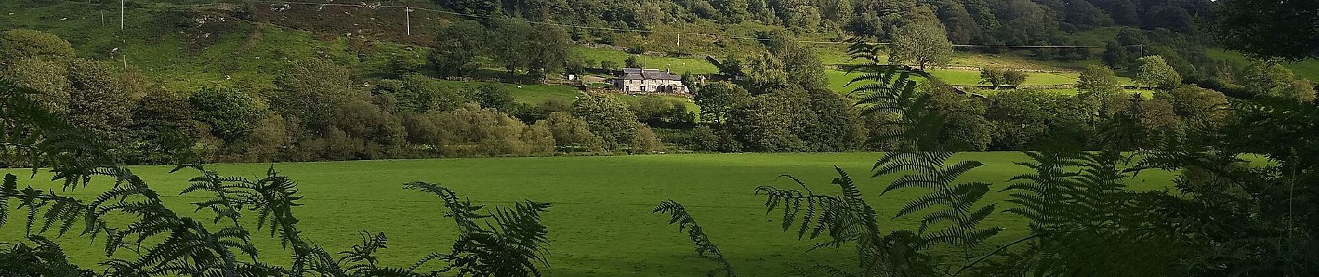 Percorso A piedi Unknown - Ty'n y Coed Uchaf and Cwm Eidda walk - Photo