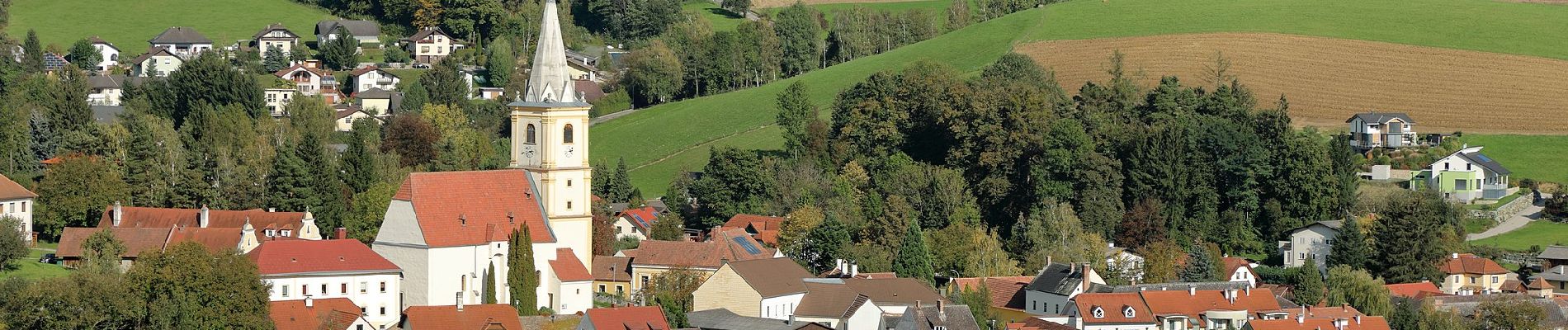 Trail On foot Gemeinde Krumbach - Krumbach - Kapelle beim Haidhof - Ransgraben Rundwanderweg - Photo