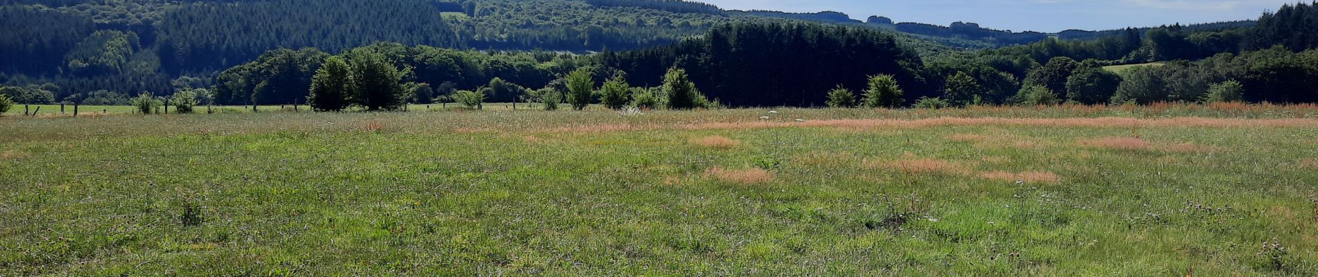 Tour Mountainbike Gedinne - Gedinne - Rienne - Bourseigne - Vencimont - Photo