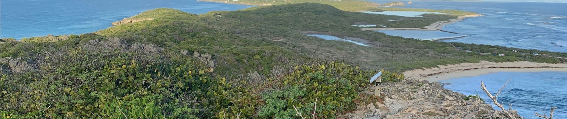 Randonnée Trail Saint-François - Anse la gourde  - Photo