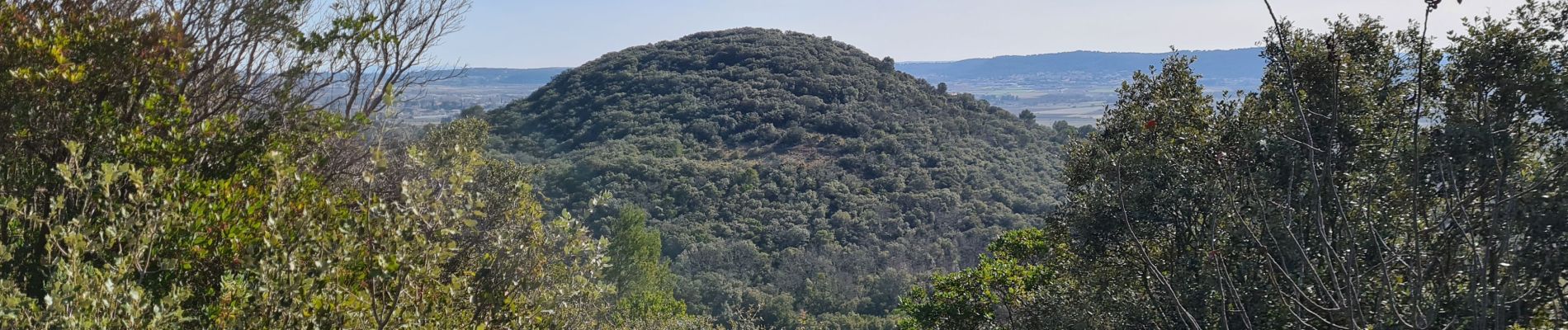 Excursión Senderismo Saint-Côme-et-Maruéjols - Maruejols et oppidum  - Photo