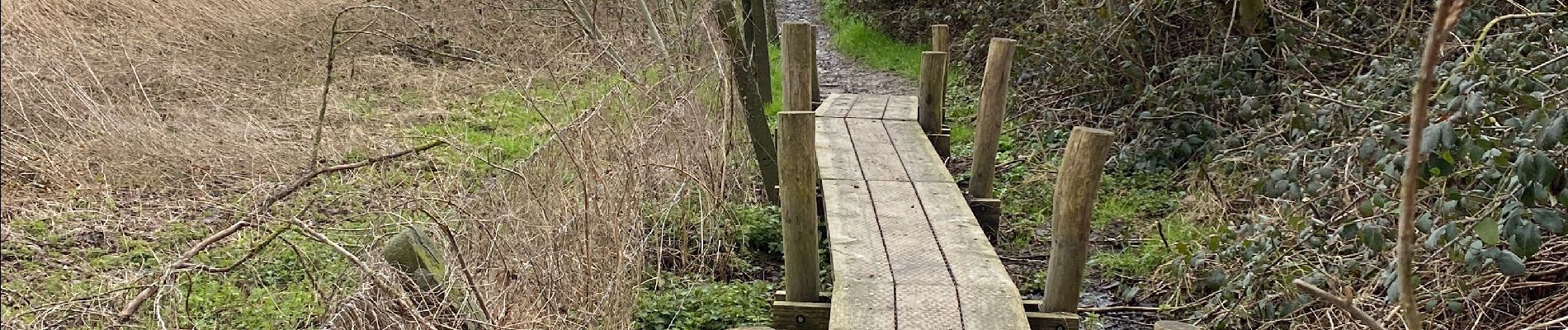 Tour Wandern Brakel - Parcours éphémère de Everbeek 12km - Photo