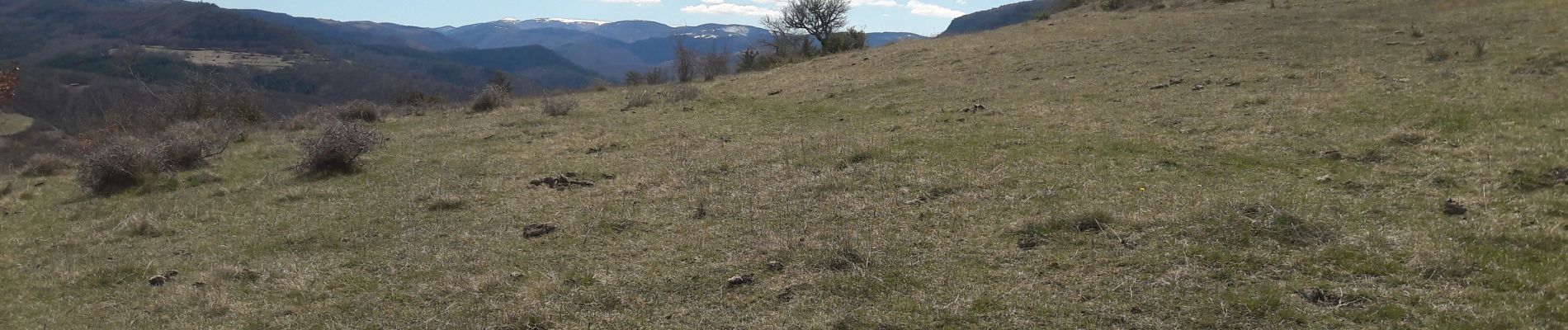 Trail Walking Cans et Cévennes - Autour du MAZEL via CROUPILLAC - Photo