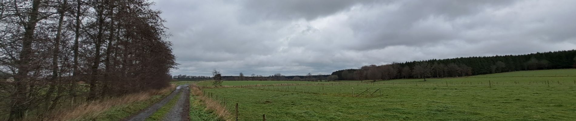 Tocht Stappen Bastenaken - Boursy (Bastogne) - Photo