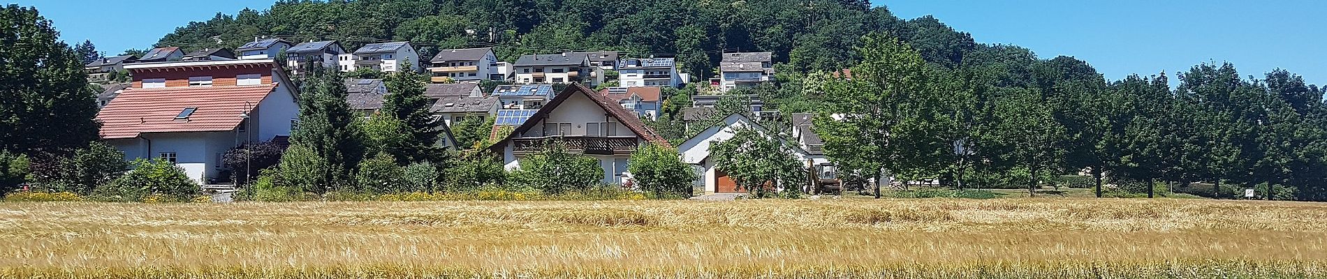 Tocht Te voet Werbach - Rundwanderweg Gamburg 2 - Photo