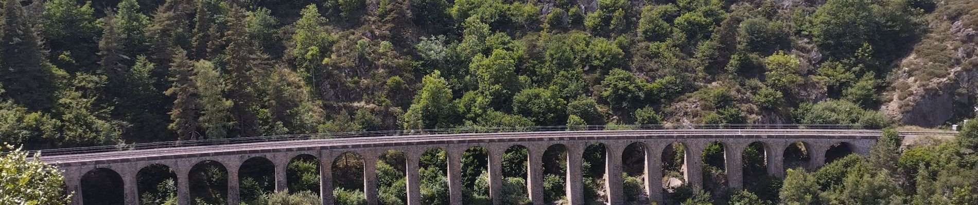 Tocht Wegfiets Langogne - Langogne, le nouveau monde - Photo