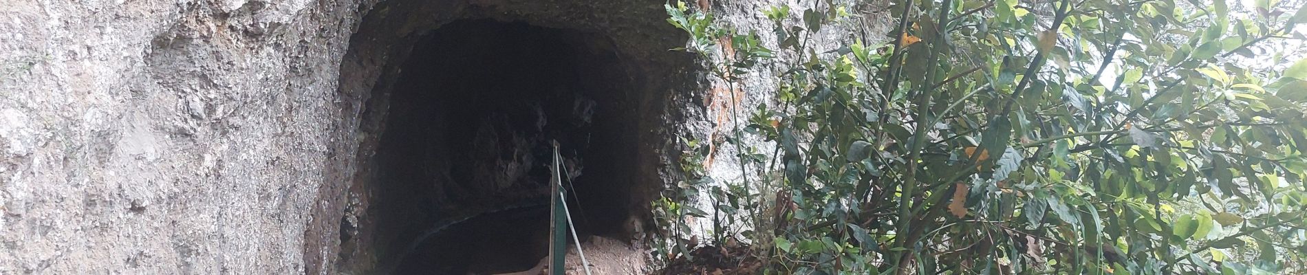 Randonnée Marche São Jorge - Levada del Rei - Photo