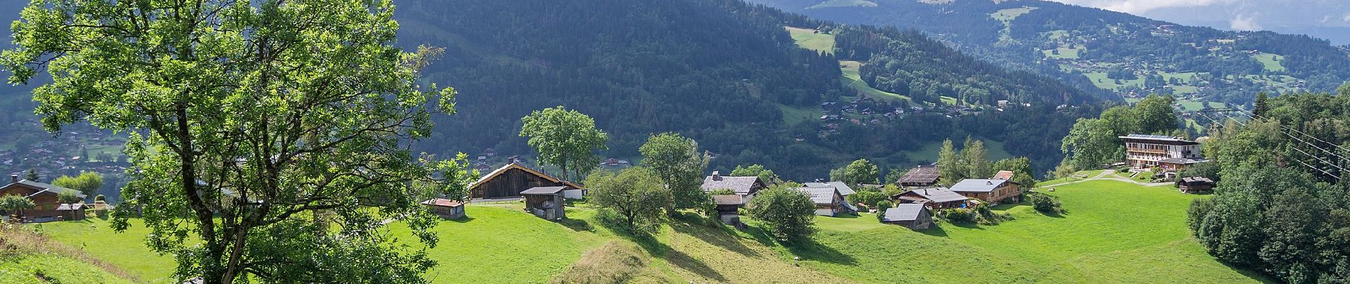 Trail On foot Saint-Gervais-les-Bains - Col de Tricot - Photo