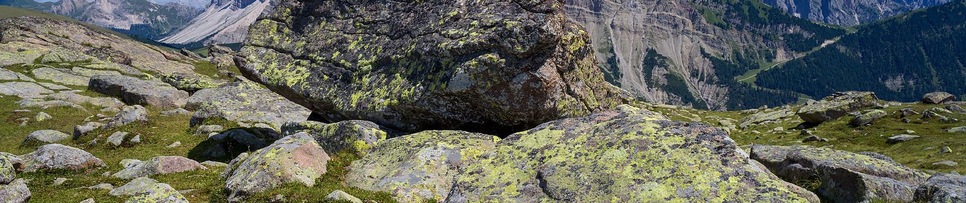 Tocht Te voet Urtijëi - St. Ulrich in Gröden - Ortisei - IT-10 - Photo