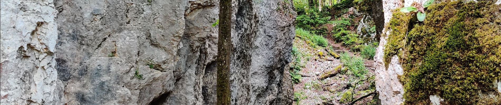 Tour Wandern Oltingen - randonnée au départ d'Oltingue chapelle St Martin - Photo