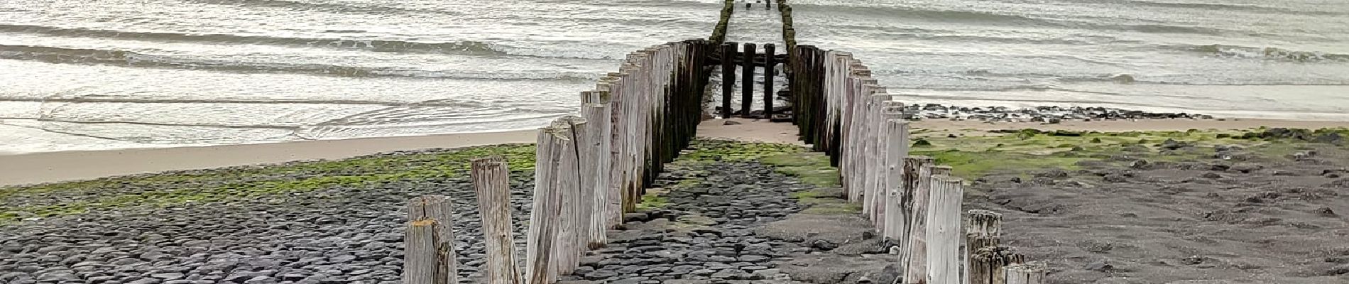 Randonnée Marche Veere - Se promener dans Westkapelle et dans les dunes  - Photo