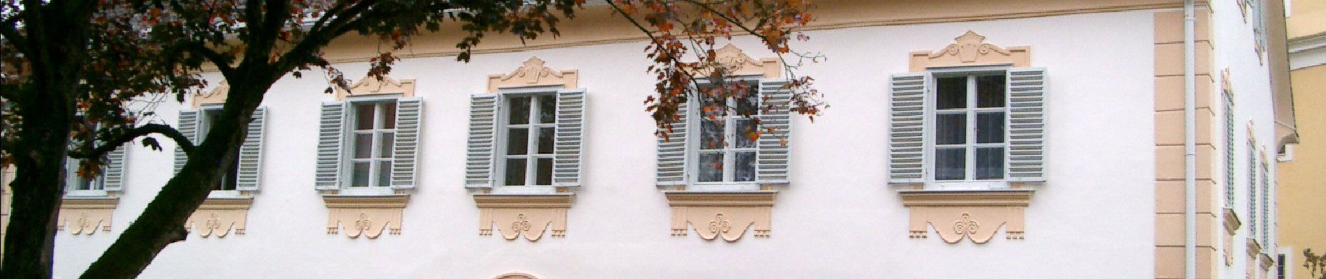 Percorso A piedi Heiligenkreuz am Waasen - Felgitscher Rundwanderweg - Photo