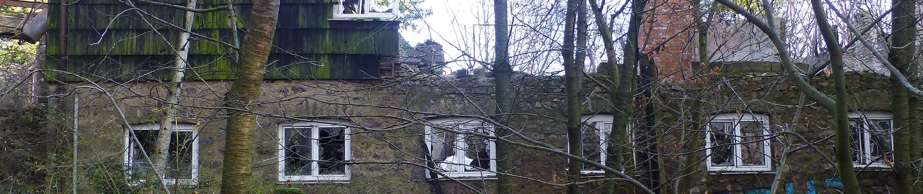 Percorso A piedi Modautal - Rundwanderweg Fischbachtal 4: Steinau Weg - Photo