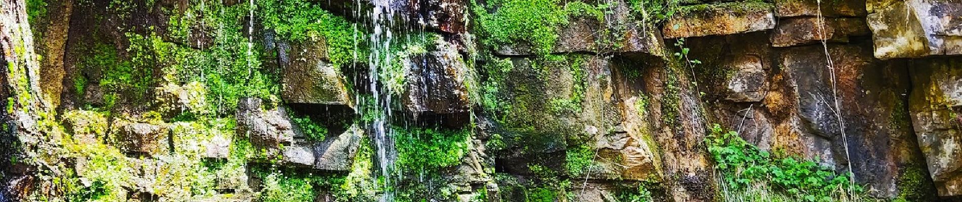 Percorso Marcia Comblain-au-Pont - Promenade vers les cascades de Chanxhe  - Photo