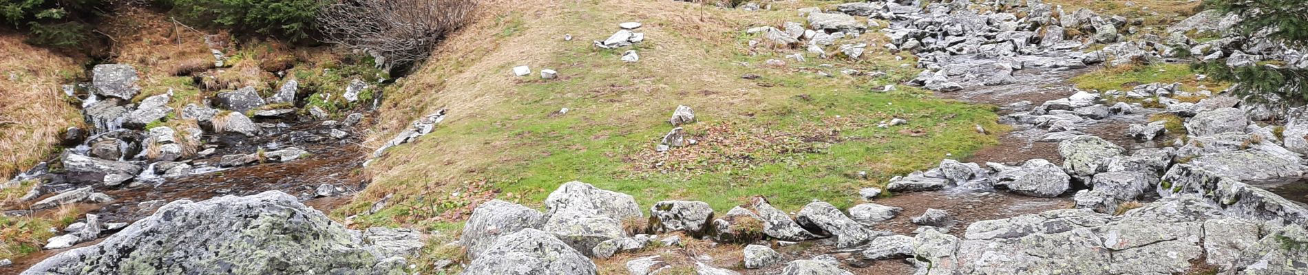 Tour Wandern Presle - crete du Gargoton  - Photo