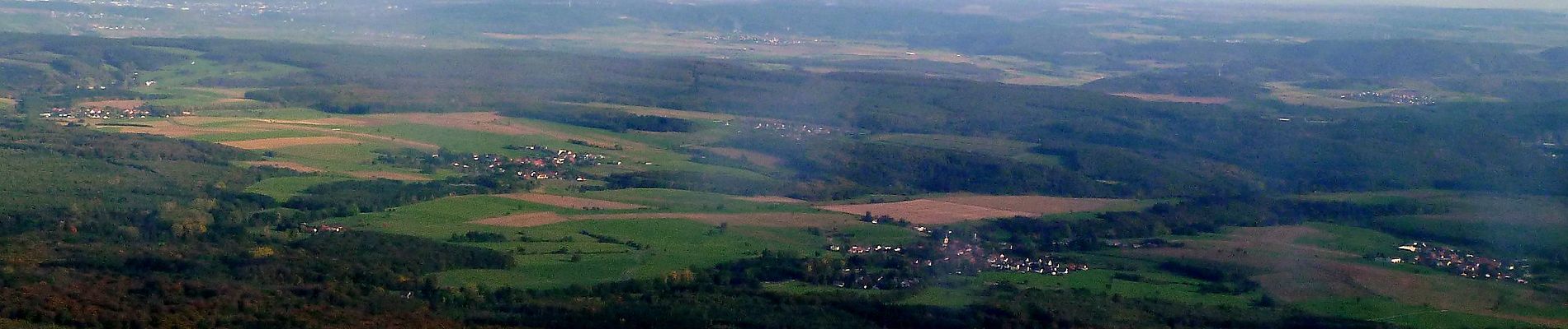 Excursión A pie Bad Sobernheim - Jäger-aus-Kurpfalz-Weg (Entenpfuhl 3) - Photo