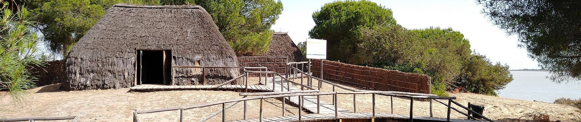 Tour Zu Fuß Almonte - Vereda de San Lúcar de Barrameda - Photo