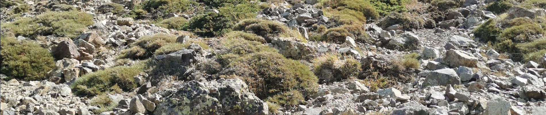 Excursión Senderismo Calenzana - monte grosso, au départ de la Flatta  - Photo