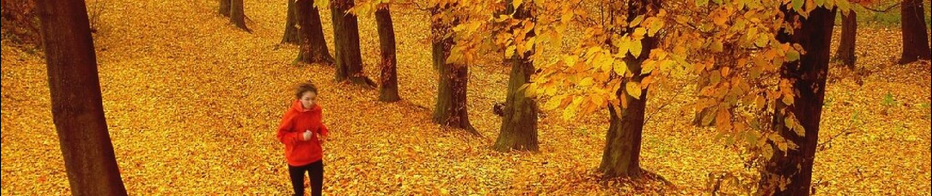 Percorso A piedi okres Žiar nad Hronom - NCH Šibeničný vrch - Photo