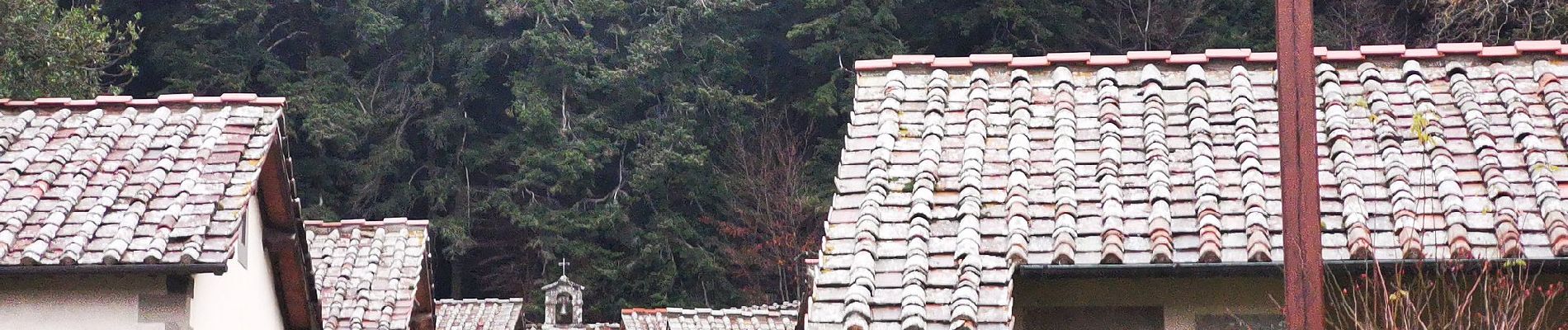 Randonnée A pied Santa Sofia - All’Eremo di Camaldoli per il crinale di Poggio Scali - Photo