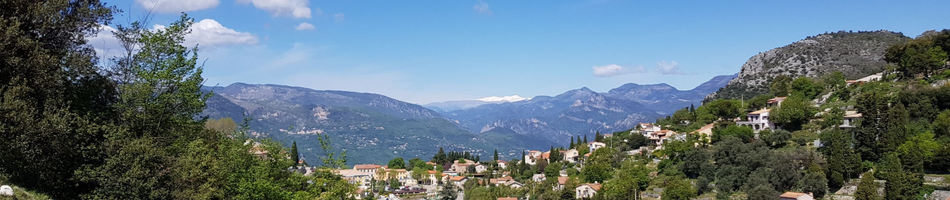 Tocht Stappen Aspremont - Tour Mont Chauve - Photo