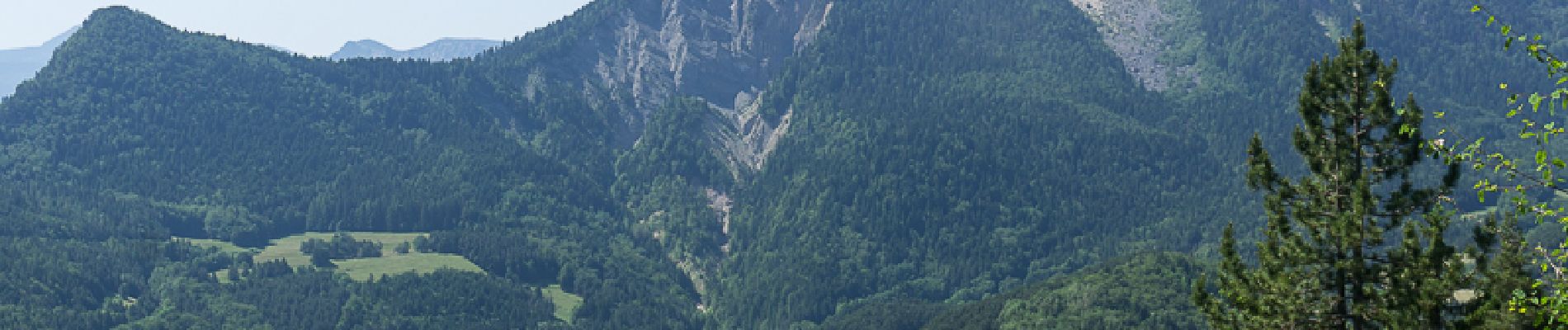 Excursión Senderismo Gresse-en-Vercors - Col de l'Allimas- Grand Brisou - Crête des Alleyrons - Photo