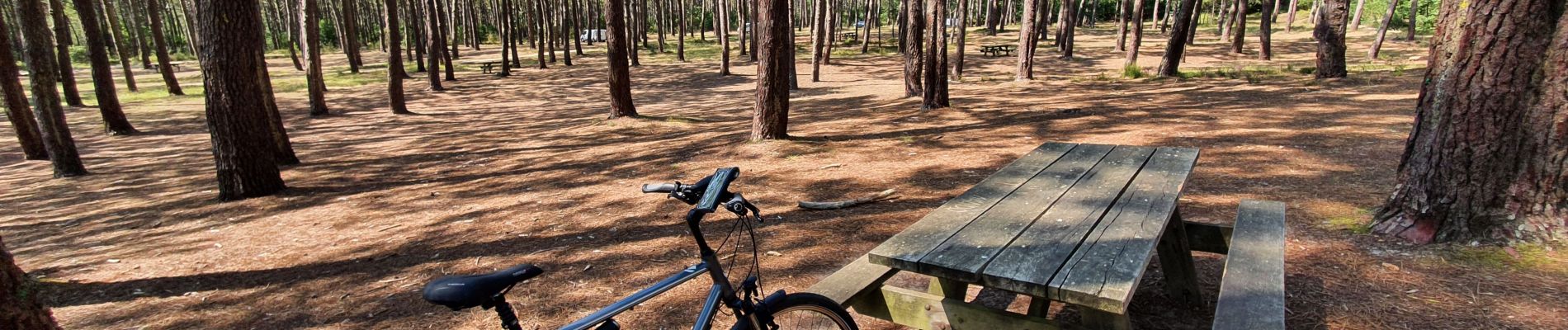 Excursión Bicicleta híbrida Biscarrosse - Biscarrosse - Les dunes de Biscarrosse Plage - Photo