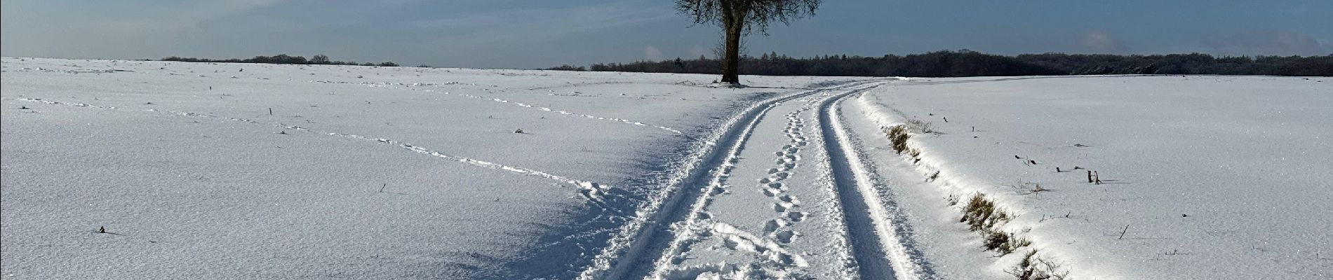 Tocht Noords wandelen Habscht - Eischen - Septfontaines - Photo