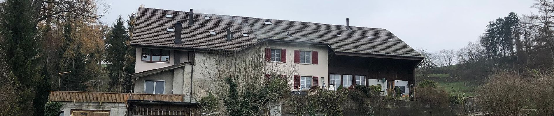 Tocht Te voet Lottstetten - Ziegelhütte - Fähre Ellikon am Rhein (Hochwasser Alternativroute) - Photo