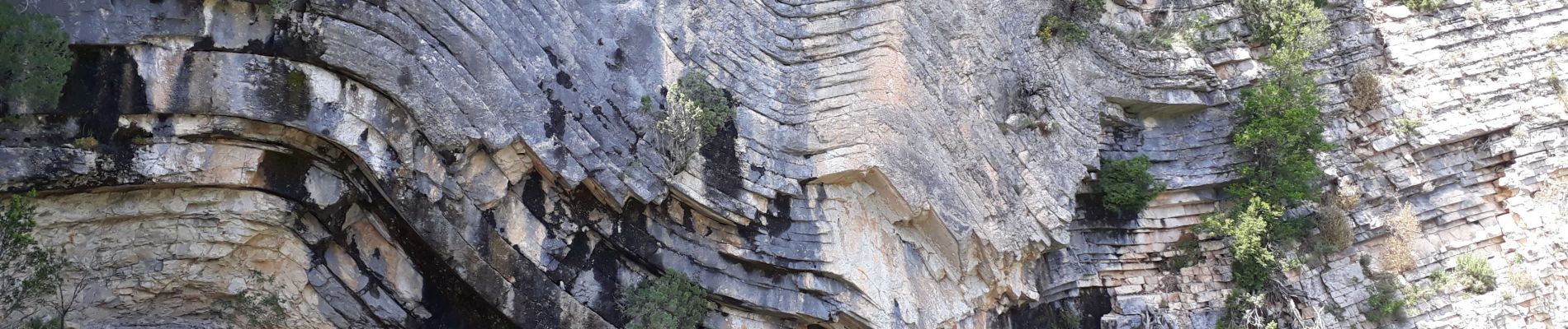 Excursión Senderismo Saint-Maurice-Navacelles - Cirque de Navacelles Causses et Gorges de la Vis - Photo