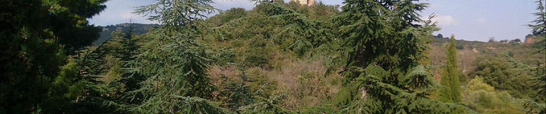 Trail Walking Castelnou - Autour de Castelnou via St Marti de la Roca  - Photo