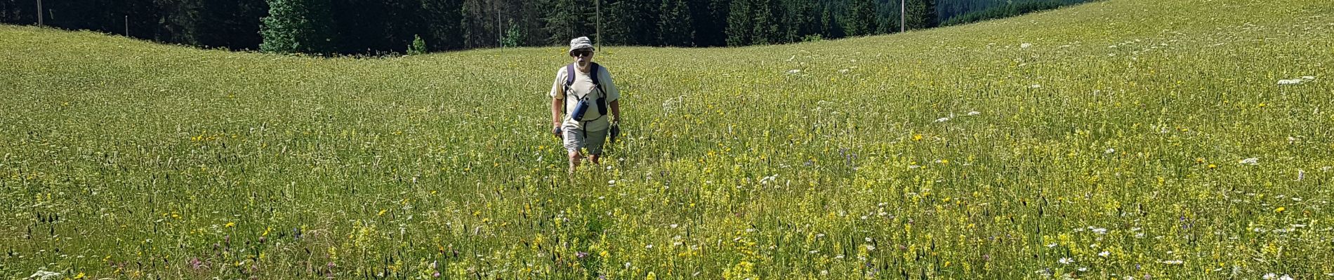 Randonnée Marche Les Moussières - 29 06 19 grande molune d tour - Photo