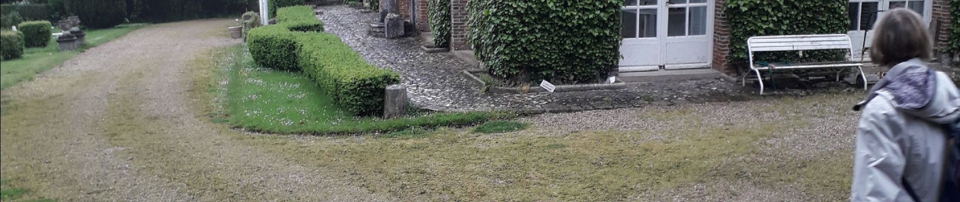 Tocht Stappen Clères - Clères. Saint Victor l'abbaye  - Photo