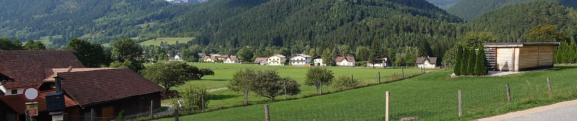 Percorso A piedi Gemeinde Puchberg am Schneeberg - Puchberg - Fischersteig - Bbhf. Hochschneeberg - Photo