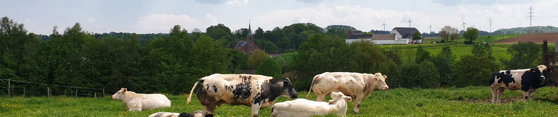 Excursión Senderismo Nivelles - Balade à Monstreux - Nivelles - Photo