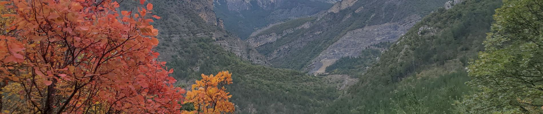 Tour Wandern Chaudon-Norante - Le poil valbonnette - Photo