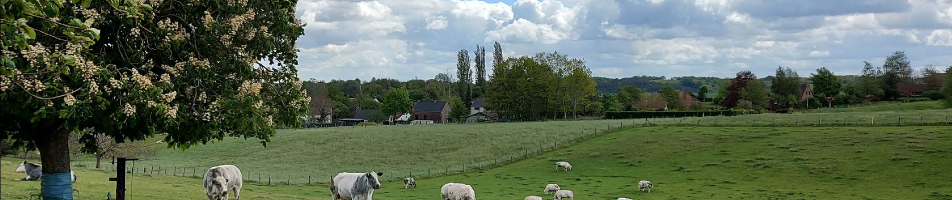 Excursión Senderismo Genappe - petit tour par le Sclage. - Photo