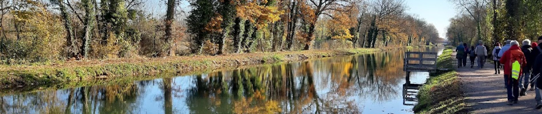 Tocht Stappen Saint-Lyé - SAINT-LYE - Photo