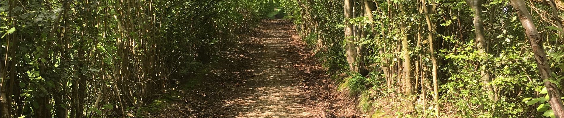 Tour Wandern Spa - Promenade d'Orléans - Photo