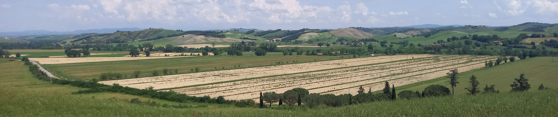 Percorso Marcia Siena - SityTrail - Sienne /  Ponte d'Arbia - Photo